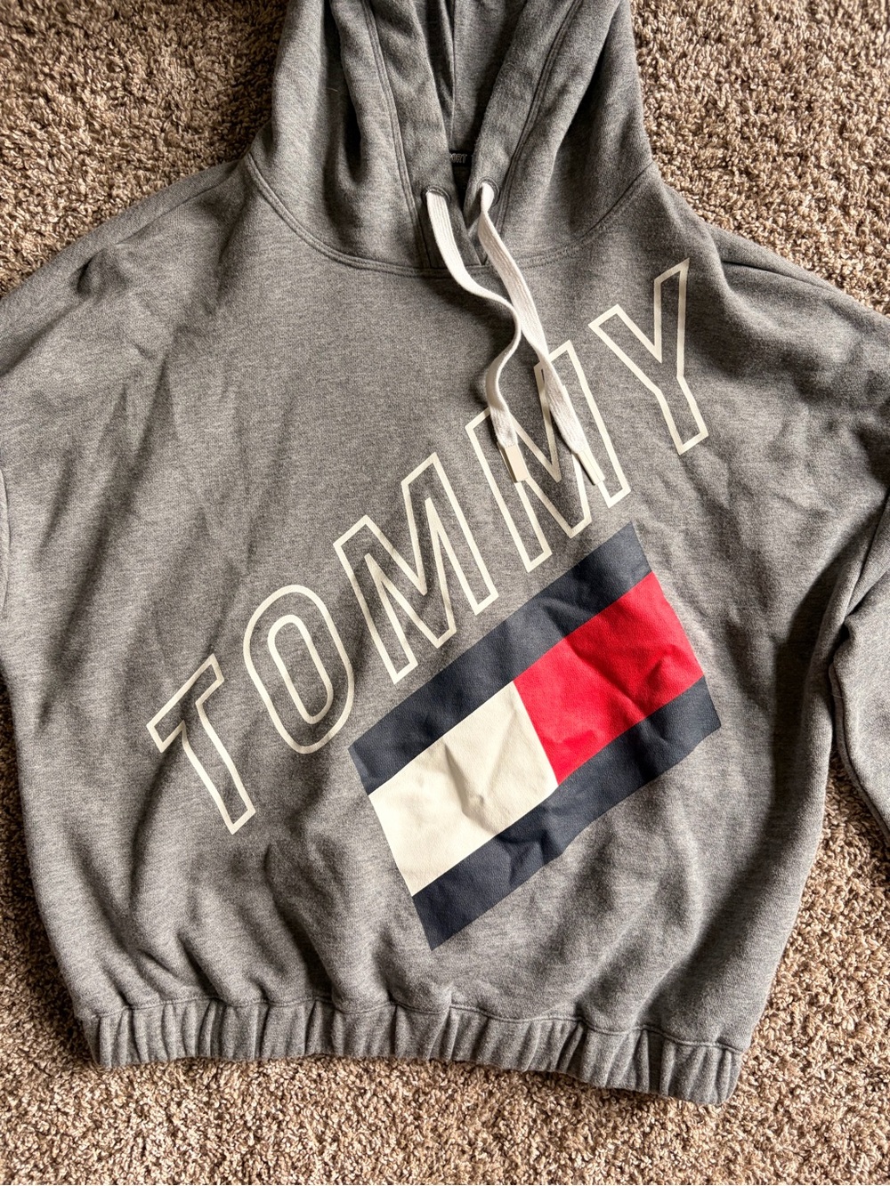 Tommy Hilfiger Gray Hoodie with Navy Logo Trim